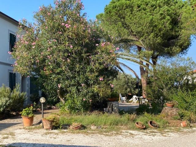 Isola D'Elba Casa Vacanze - Villa Portello - Magnetite - La Casina 里约滨海 外观 照片